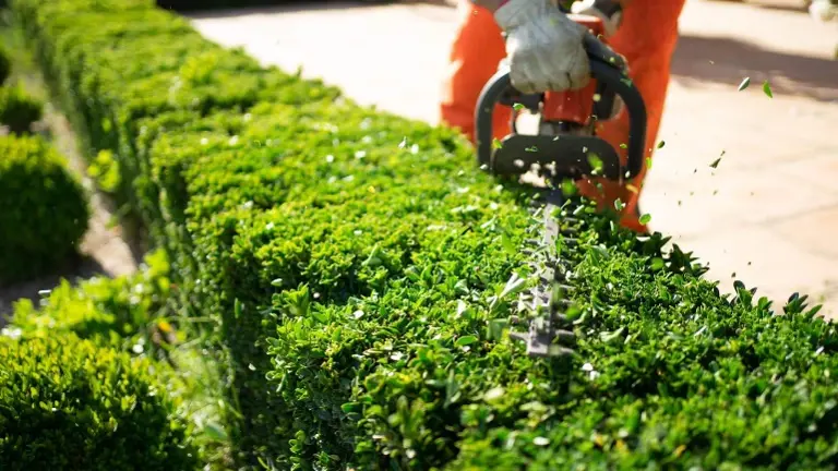 Proven Landscaping Service with Full-Year Property Maintenance