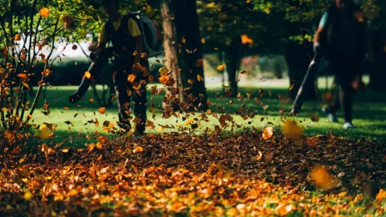 Established All-Season Landscape Provider for Homes and Businesses