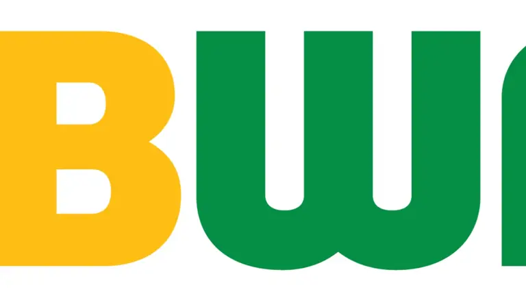 TWO Store Subway Franchises for Sale in Clay County!