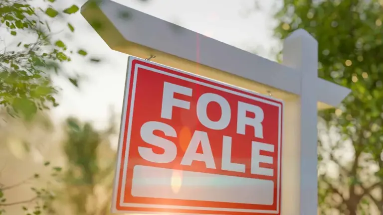 Real Estate Company and Building