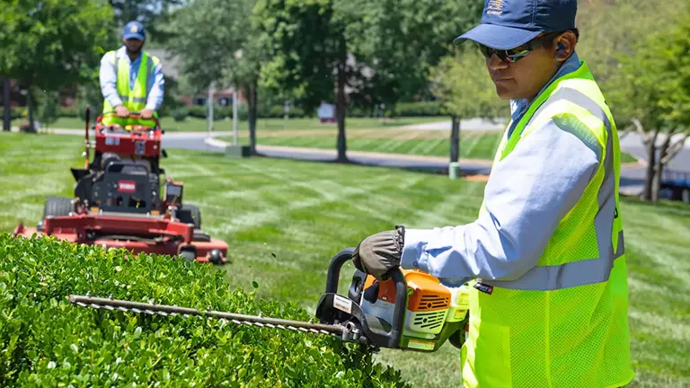 Landscape Maintenance Company