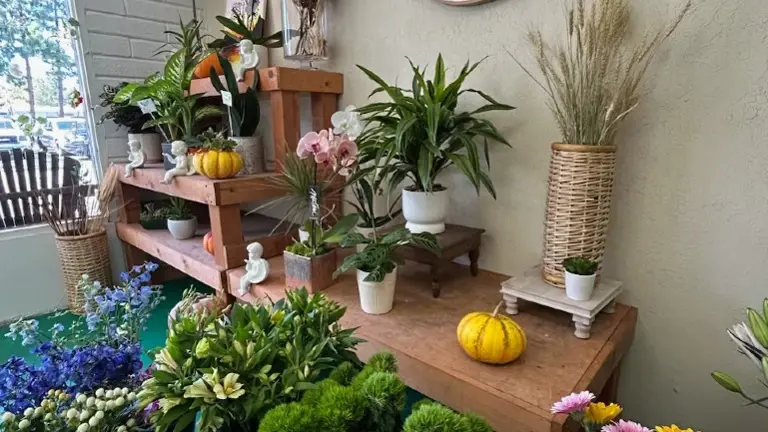 Premier Florist Located In South Orange County