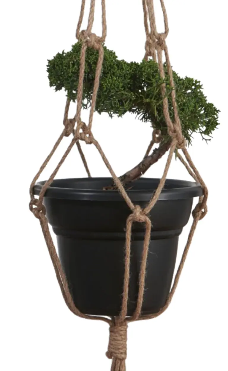 Highly Profitable, Turnkey Plant Hanger Wholesale