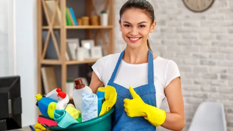 Established Residential Cleaning Franchise, Vehicles Included IN