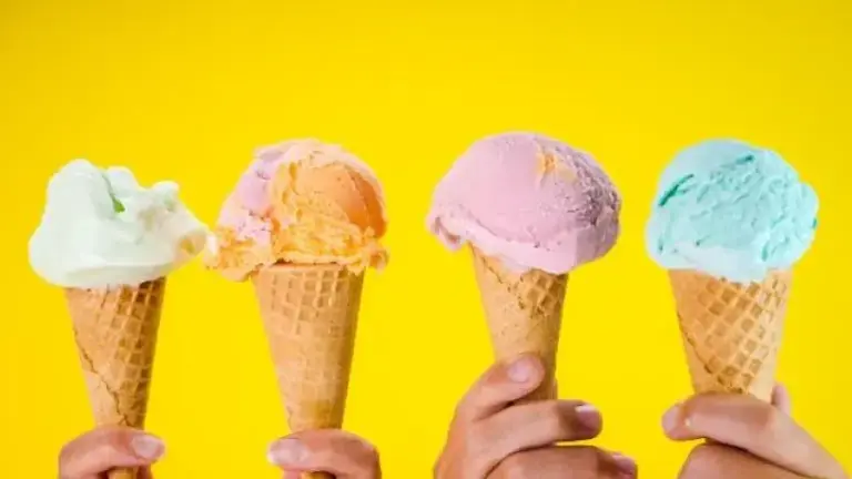 Franchise Ice Cream Shop for sale-Nassau County