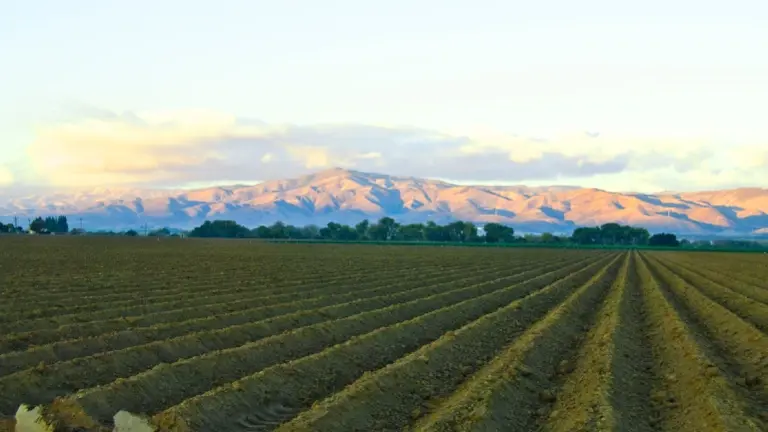 General Dental Practice for Sale - Central Valley, CA