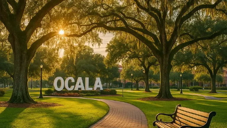 $2M EP Independent PL Agency in Florida!