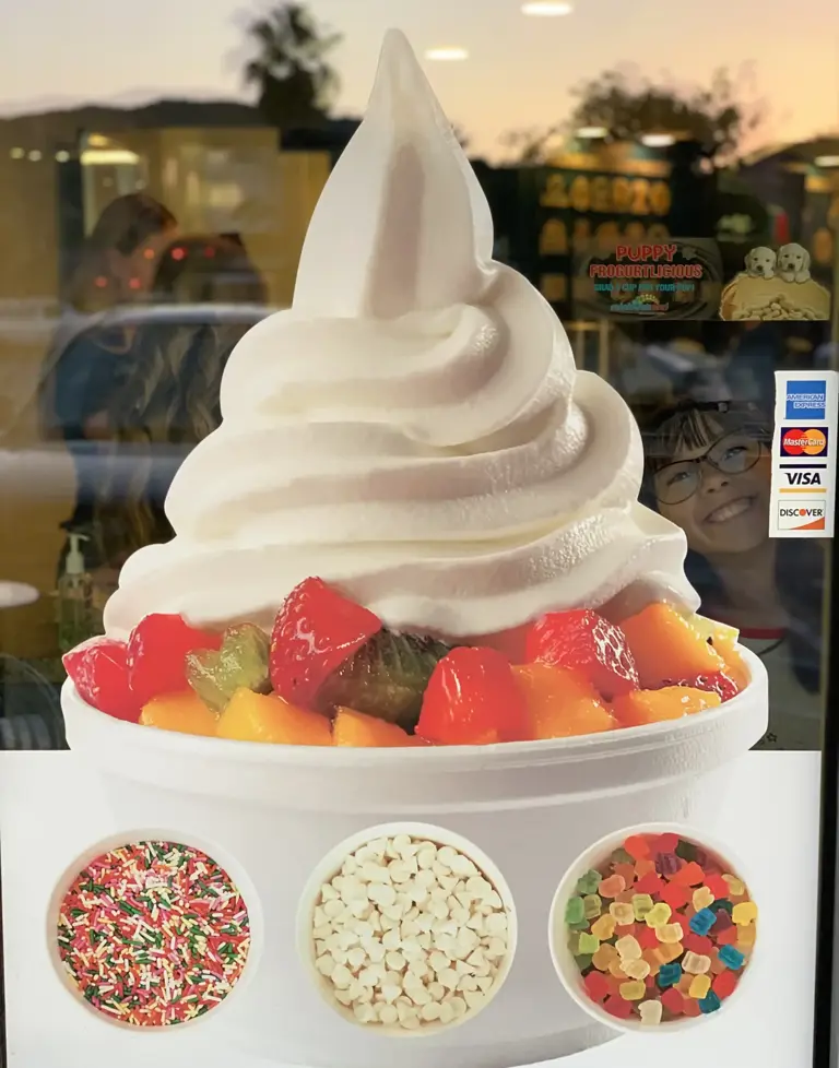 Frozen Yogurt Shop – PRICE REDUCED