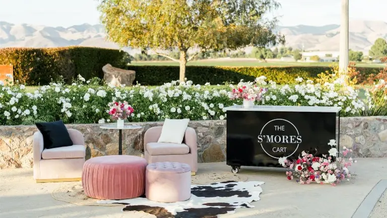 Mobile Gourmet S'mores Cart