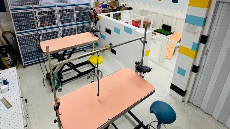 Turnkey Grooming & Daycare, New Build-Out, Low Rent, 210+ Pets Records