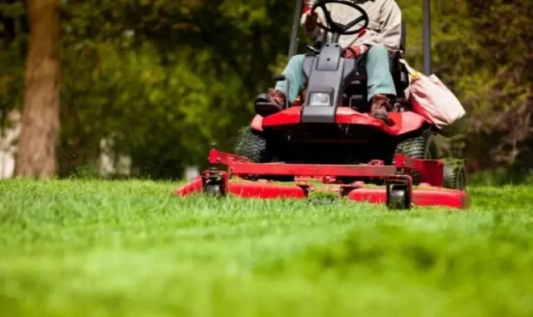 Profitable Lawn Maintenance Route (60 Accounts)