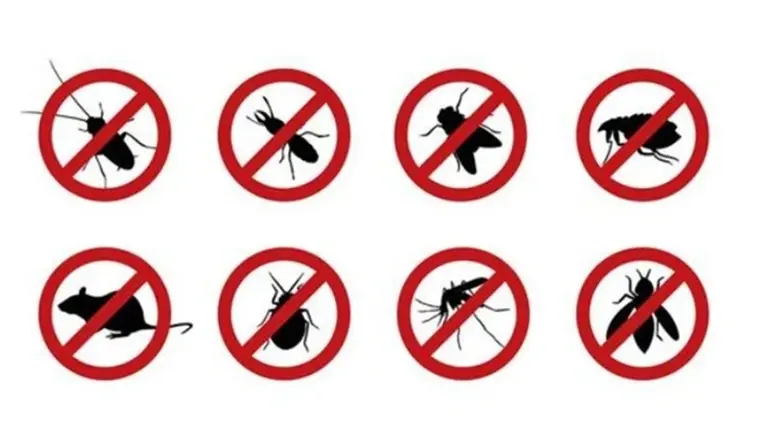 Under Contract  Pest Control  in South Florida –