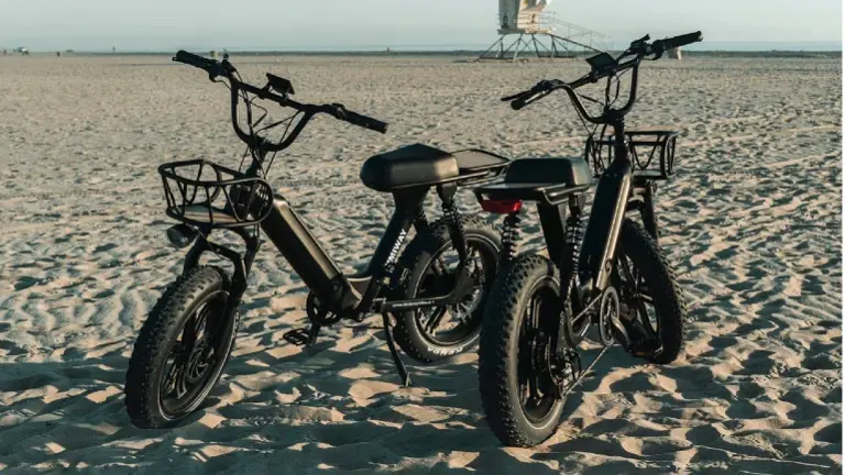 Established and Growing E-Bike Business