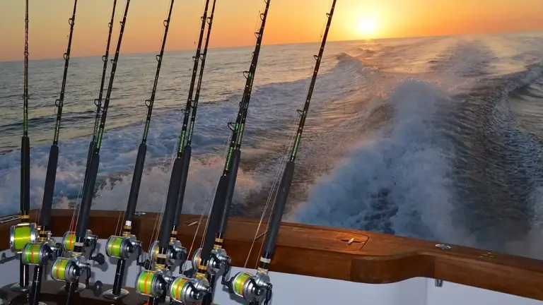 Great Fishing Brand For Sale