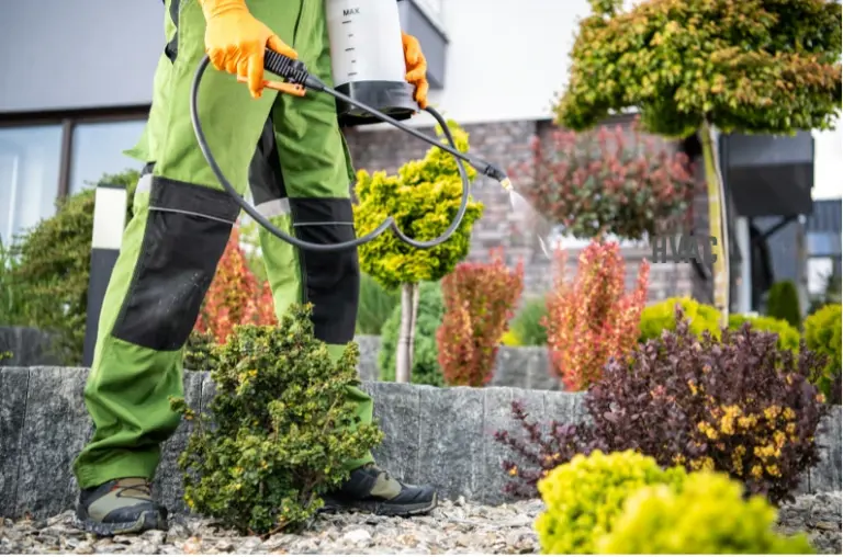 Pest Control Company