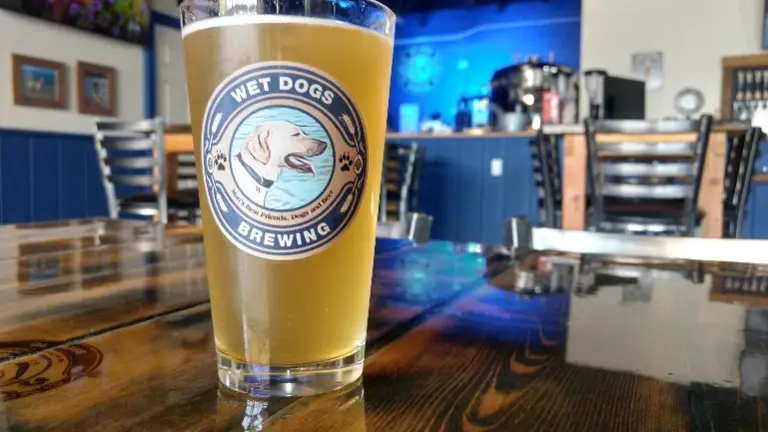 Established Profitable Small Brewery For Sale