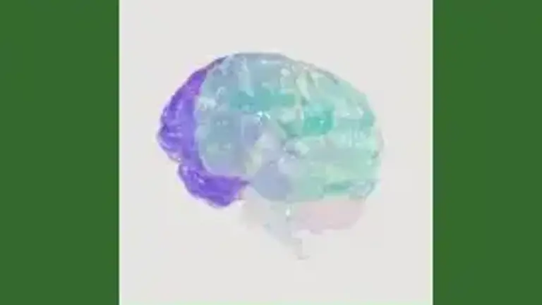 Prestigious Child Psychological Services Provider for sale!