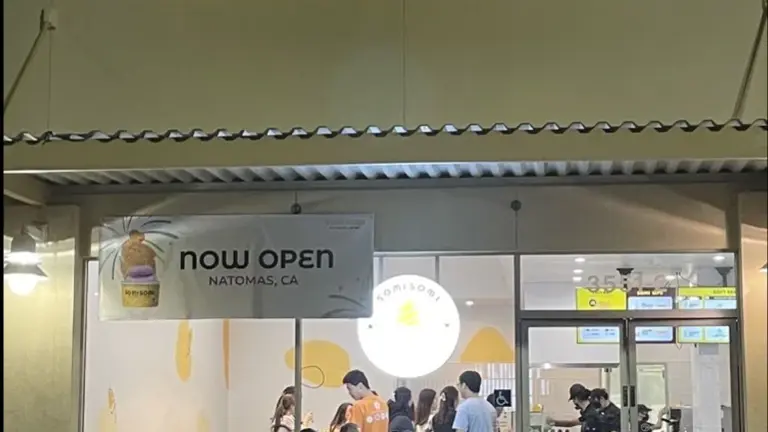 Softserve Ice Cream and Taiyaki-High Traffic, Loyal Customer,-PENDING