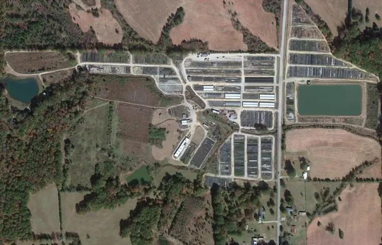 Wholesale Plant and Tree Nursery