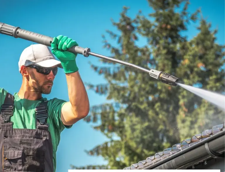 Growing Softwash Business - House, Roofs, Gutters +