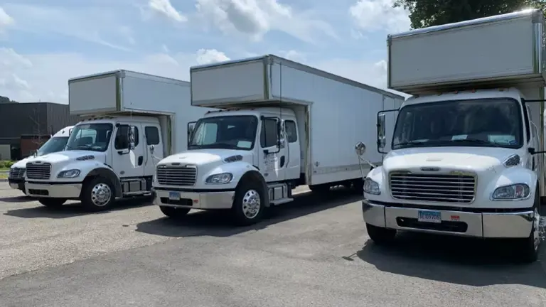 Highly profitable freight logistics company