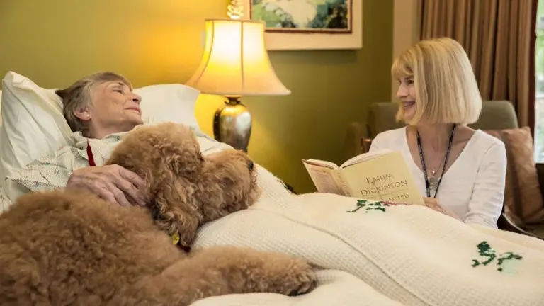 Hospice Agency for Sale in Reseda! Passed 36 mos. Fully transferable!