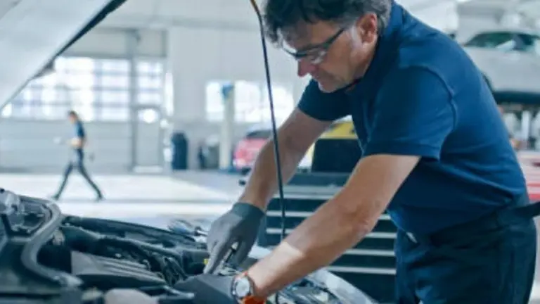 Established Profitable Custom Auto Body Shop