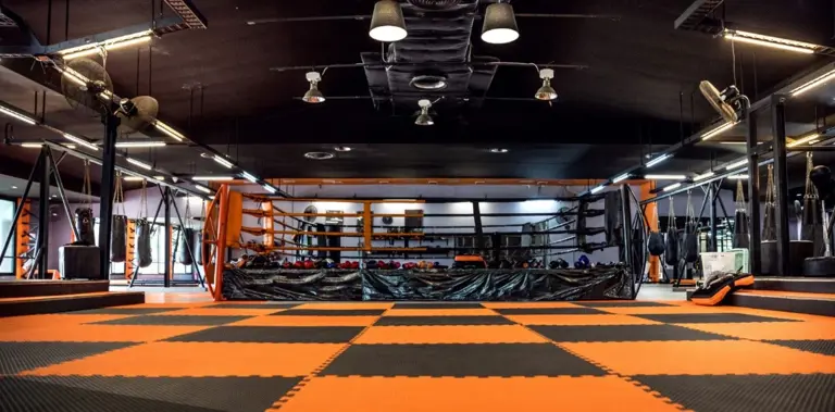 Established Fitness Studio with Recurring Revenue – Phoenix