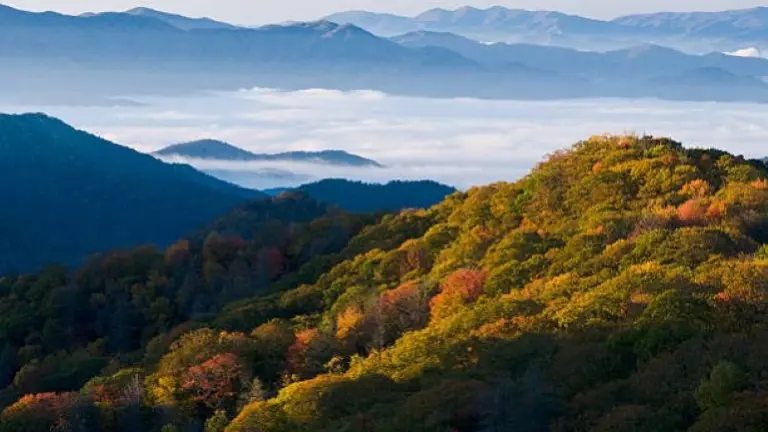 Former High Country UTV Tours Rated #1 Currently in business