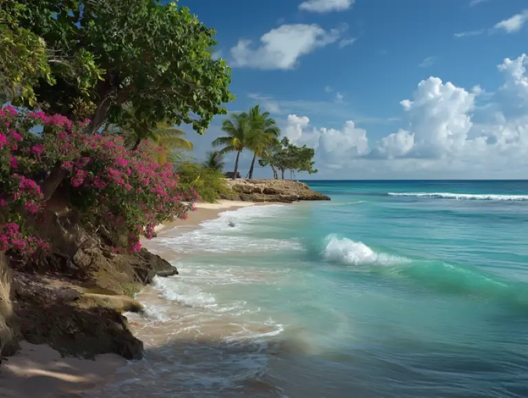 Remote Caribbean Travel Services Company