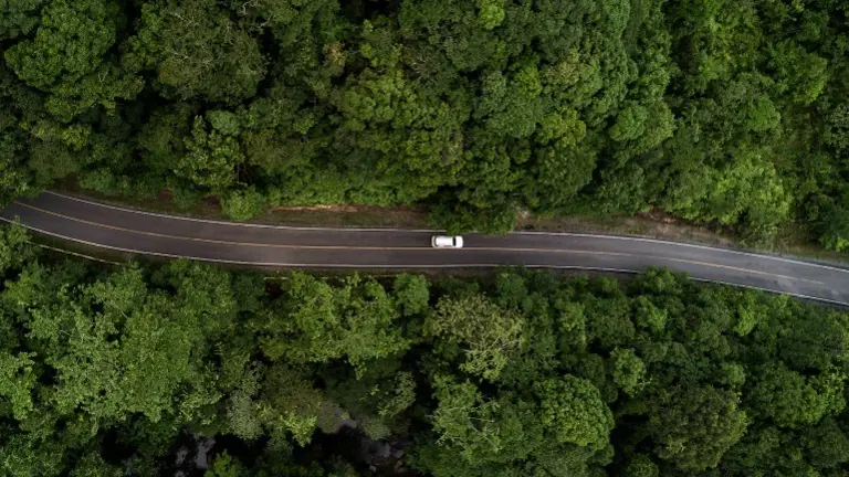 17 FedEx P&D Routes - Eastern Virginia