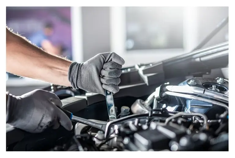 High-Performance Automotive Shop with Global Reach