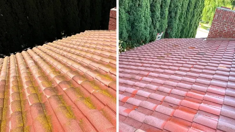 Turnkey Pressure Washing Biz – $10K Monthly Revenue