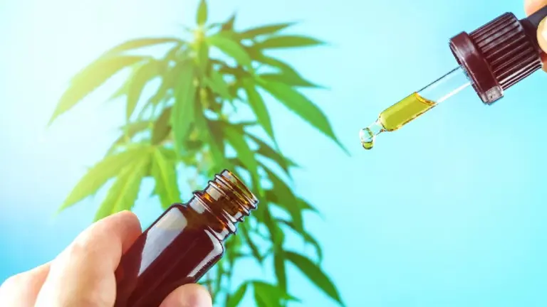 Hemp Healthcare Business with Greenhouse & eCommerce