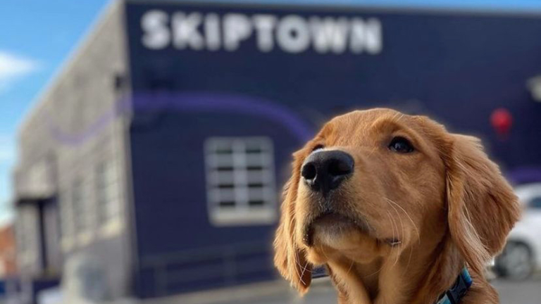 Own the Future of Pet Care: Franchise with Skiptown