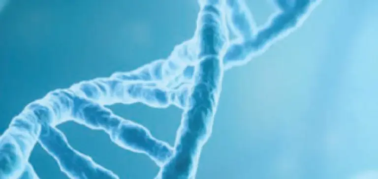 High Complexity CLIA, full PCR equipment, Colorado