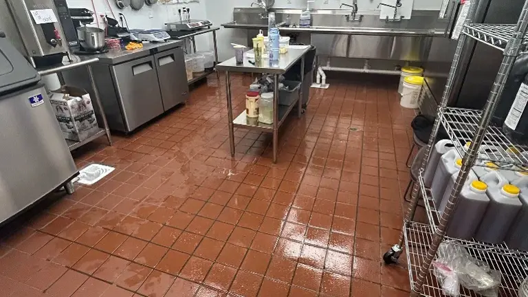 Cleanest tea shop around!