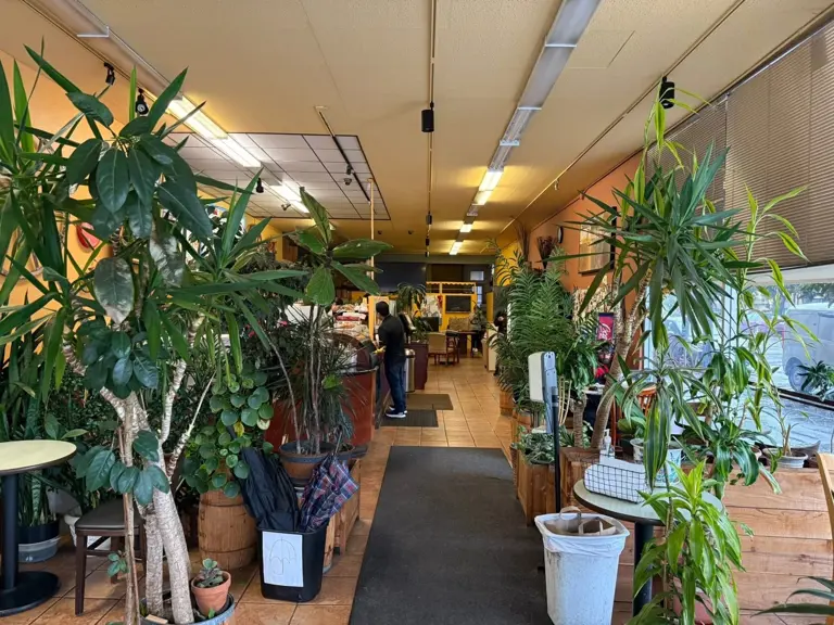 Established Coffeehouse for sale in San Francisco Inner Richmond