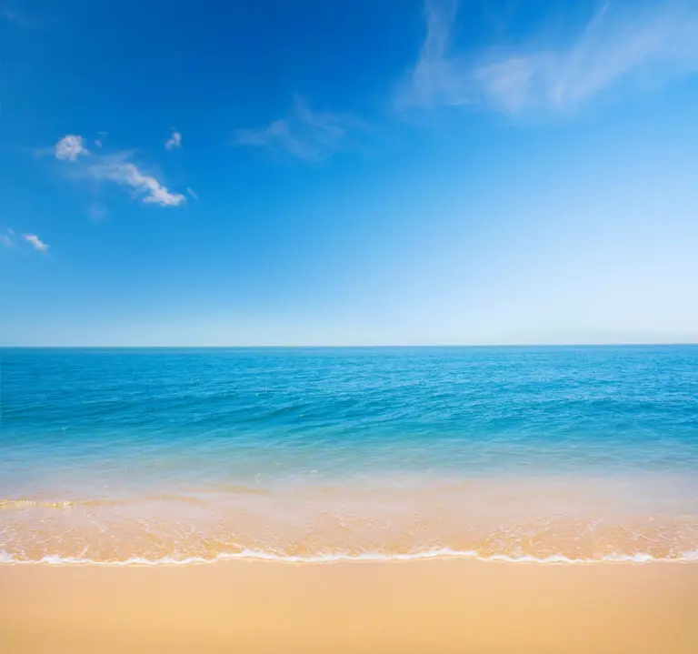 Travel Web Site $4k