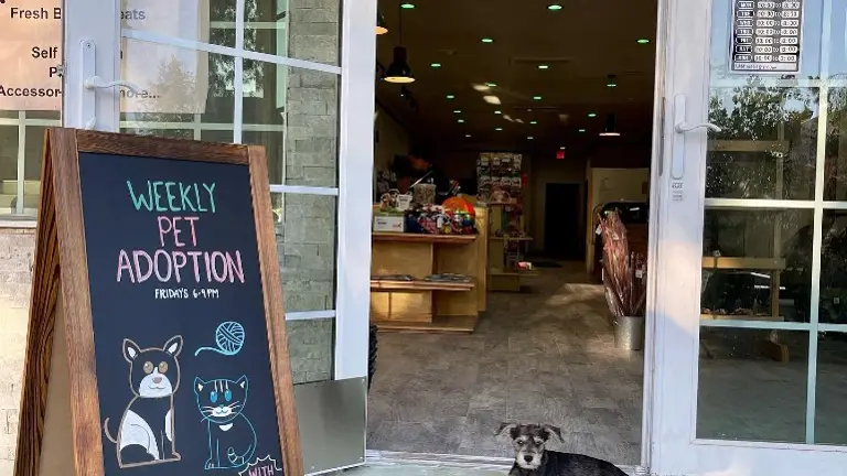 Special Events at PetNMind