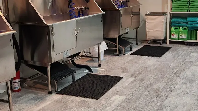 Self Service Wash at PetNMind