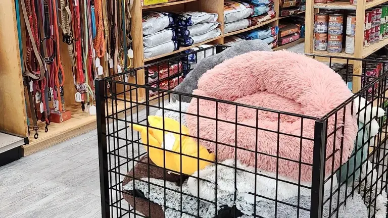 Great Selection of Favorites at PetNMind