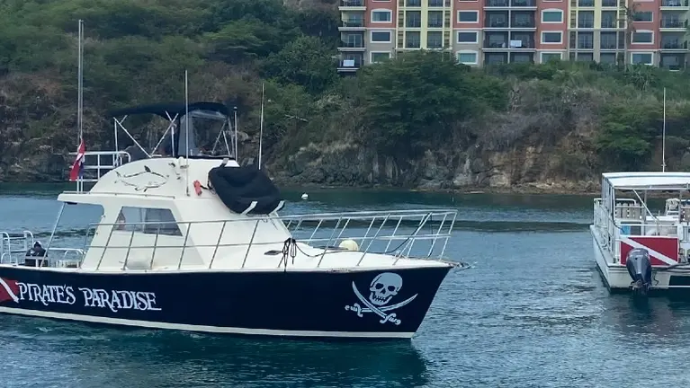 Lifestyle Business Opportunity