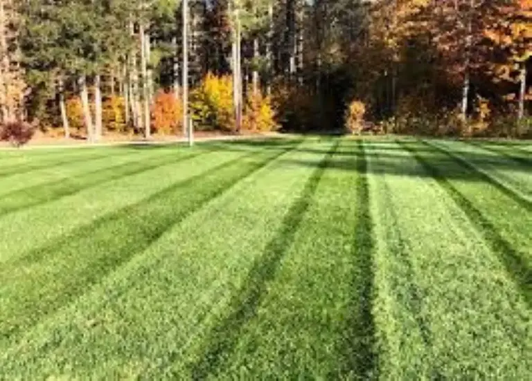 20+ Yr - $650k Rev. - Lawncare and Snow Solutions Co.