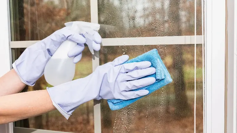 $160K PLUS NET very semi ABSENTEE - Window Cleaning in SE FL