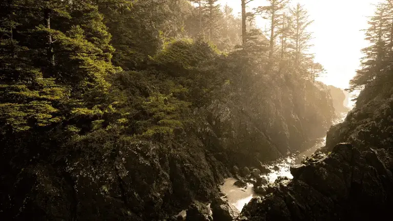 Medical Spa for Sale in Washington State