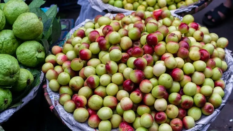 20-Acre Farm with Fruit Trees, Greenhouses & Ranch Home & 20-Acre Land