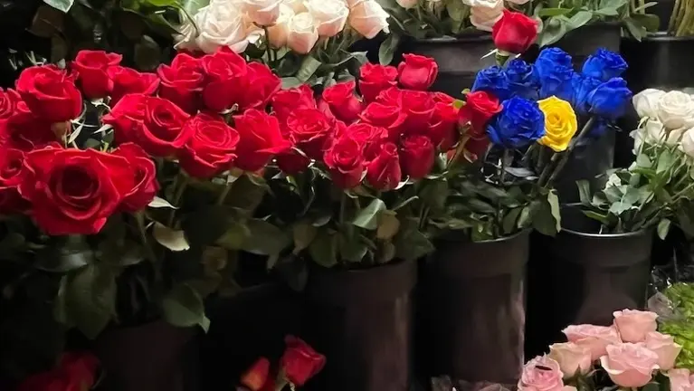 Established Florist for Sale in New York