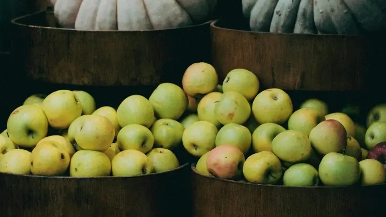 Farm Market, Agritourism Venue & Seasonal Food Destination