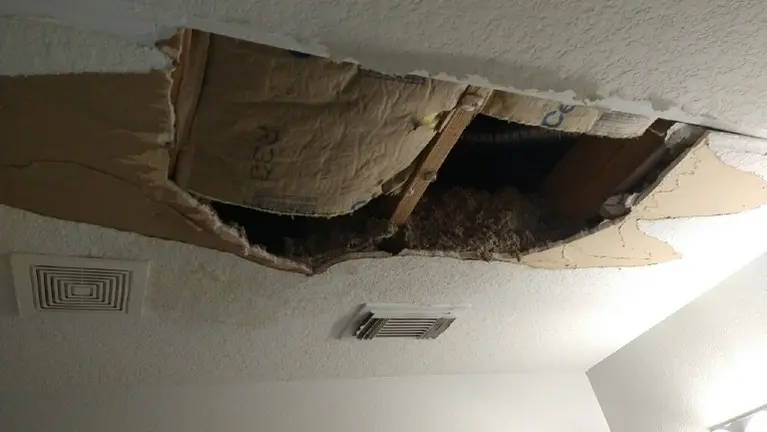 Established Business for Sale in Fort Bend County